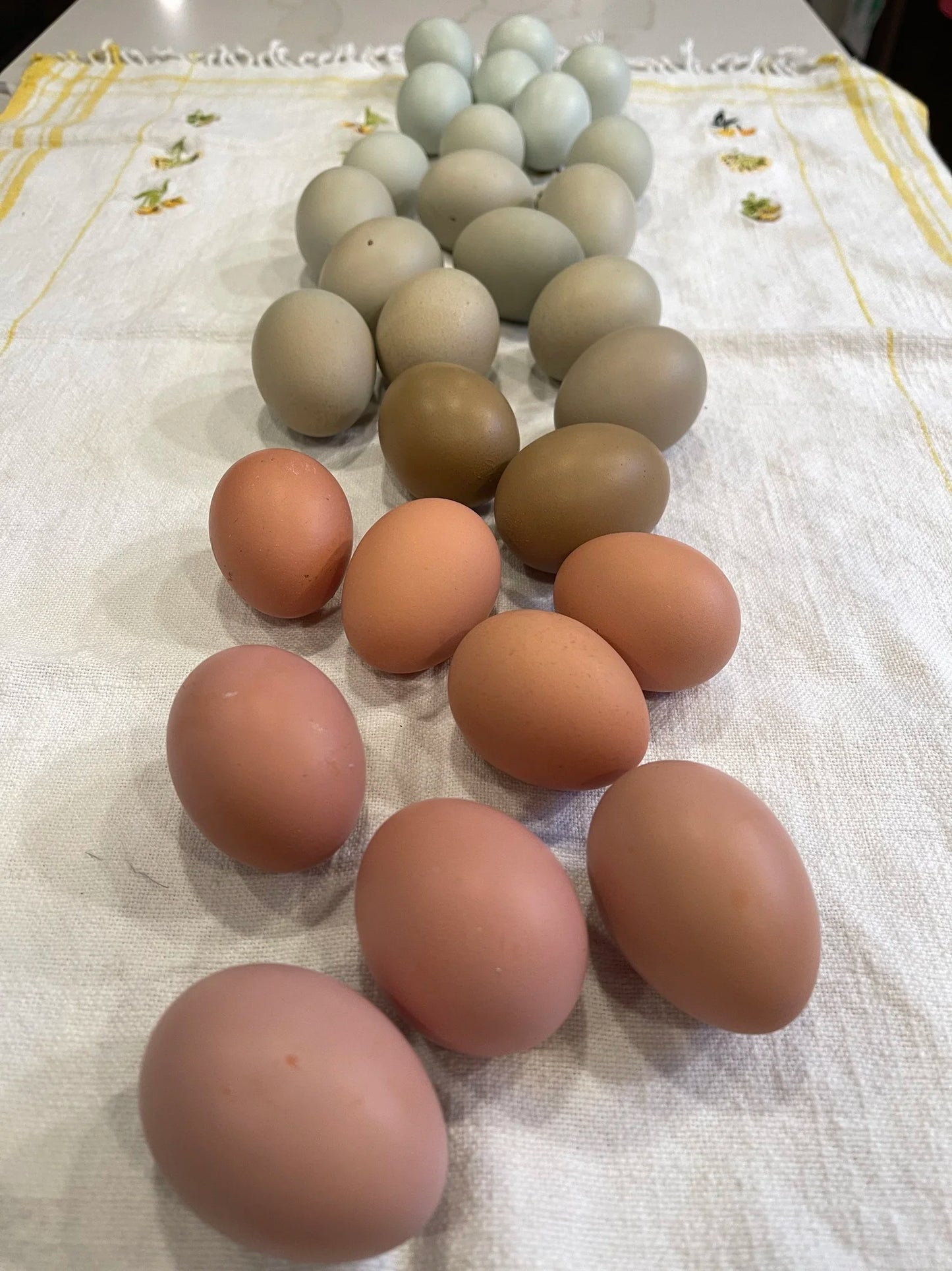 Farm Fresh Eggs