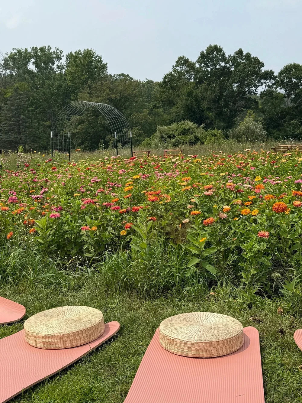 Bloom & Breathe 2026